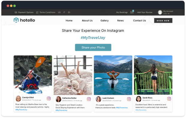 embed ugc on website